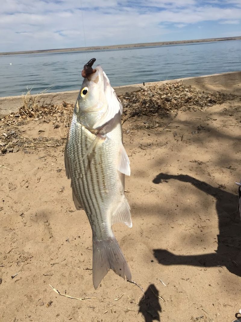 Fishing Here Has A Devoted Following For Good Reason
