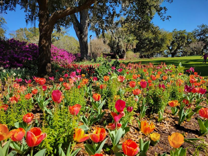 You Notice Color Moving Before The Flowers Do