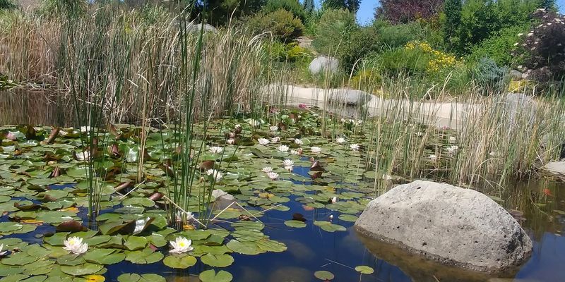 Water Features That Make You Exhale