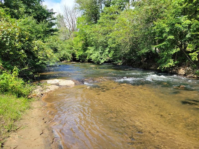 White Sulphur Springs