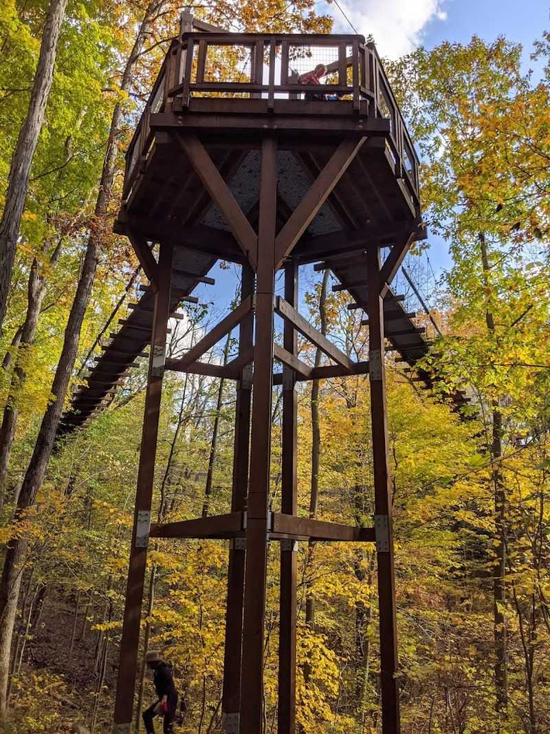 The Emergent Tower