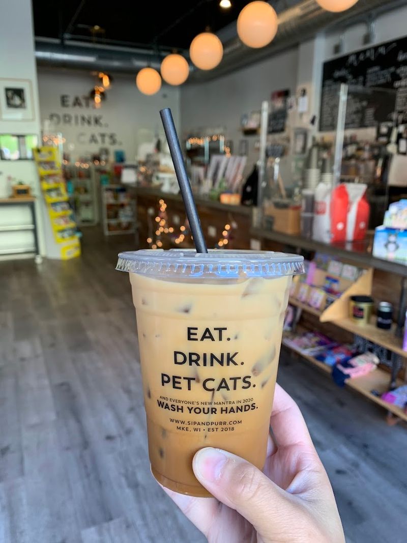 Cat Lovers Are Completely Smitten With This Wisconsin Café - Decor Hint Drinks That Actually Impress