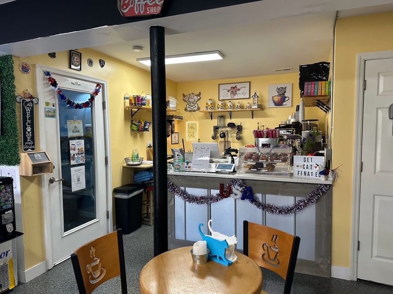Coffee, Treats, And Curious Cats Keep The Mood Easy