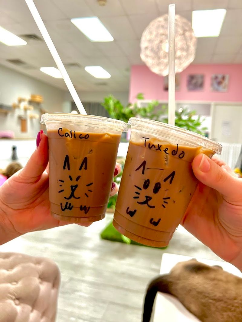 Coffee And Snacks That Deliver