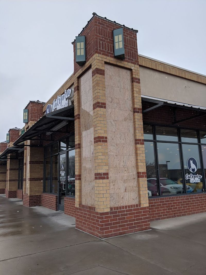 What This Café Actually Is