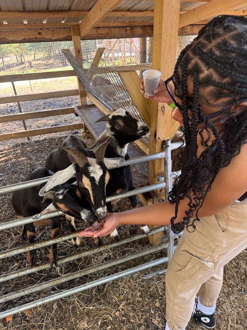 You'll Absolutely Fall In Love With This Peaceful Kentucky Park And Its Farm Animals - Decor Hint Genuinely Affordable Admission Pricing