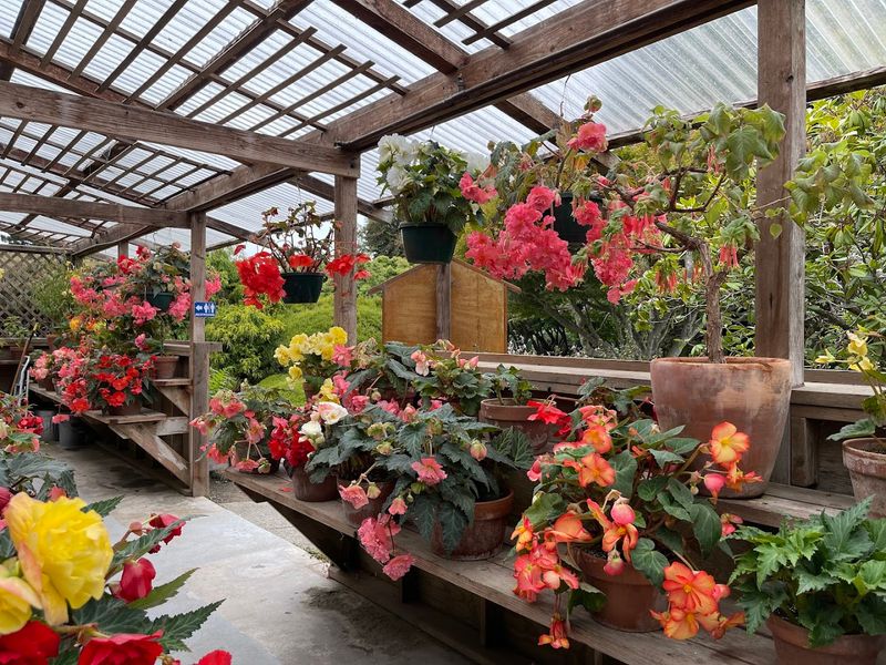 Your First Visit To This 47-Acre Magical Botanical Garden Hiding In California Will Stay With You - Decor Hint Manicured Gardens And Wilder Corners Balance Each Other