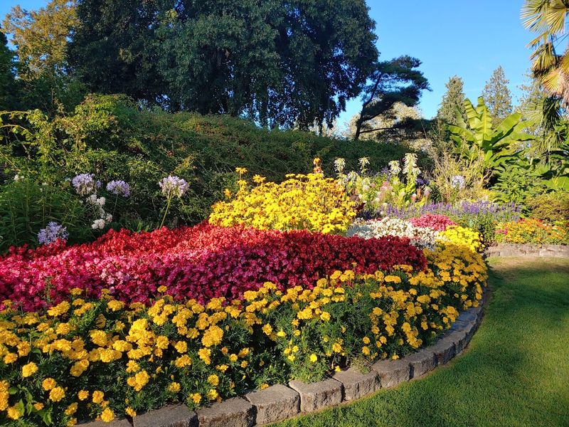 This Stunning Washington Rose Garden Looks Like Something Lifted From A Monet Masterpiece - Decor Hint When To Visit For Peak Bloom Magic