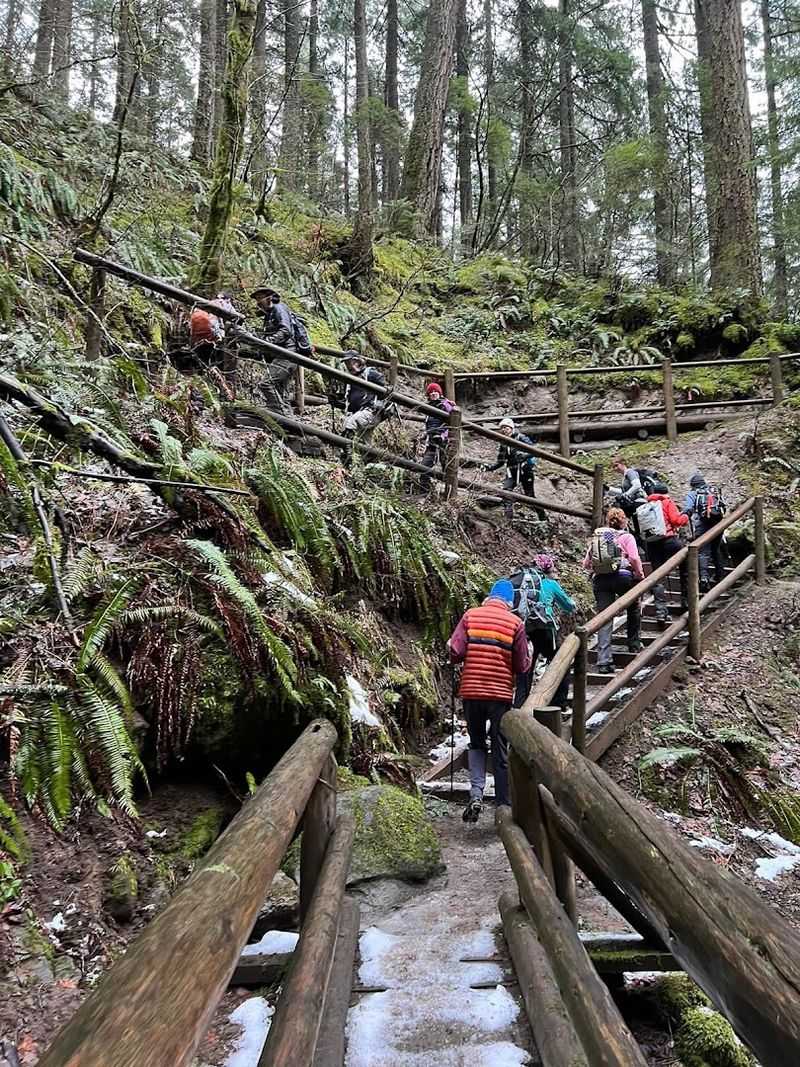 Best Time To Make The Climb