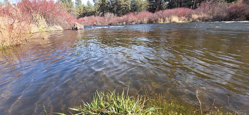 These 17 Family Adventures Make Oregon's State Parks Even More Fun - Decor Hint Tumalo State Park