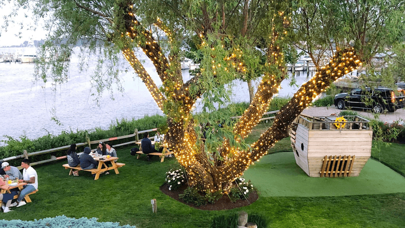 Cowfish, Hampton Bays