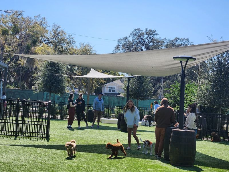 This Florida Spot Is Basically A Playground For Dogs And A Break For Their Humans - Decor Hint The Separate Play Zones Are A Genius Move
