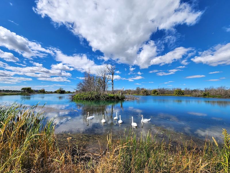 The Belle Isle Nature Center