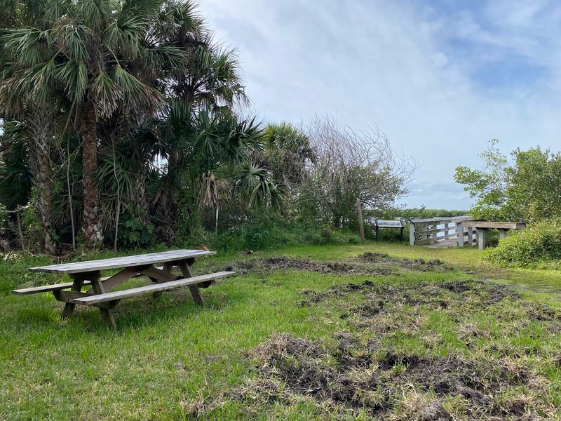 Hiking The Eldora Hammock Trail And Village Loop