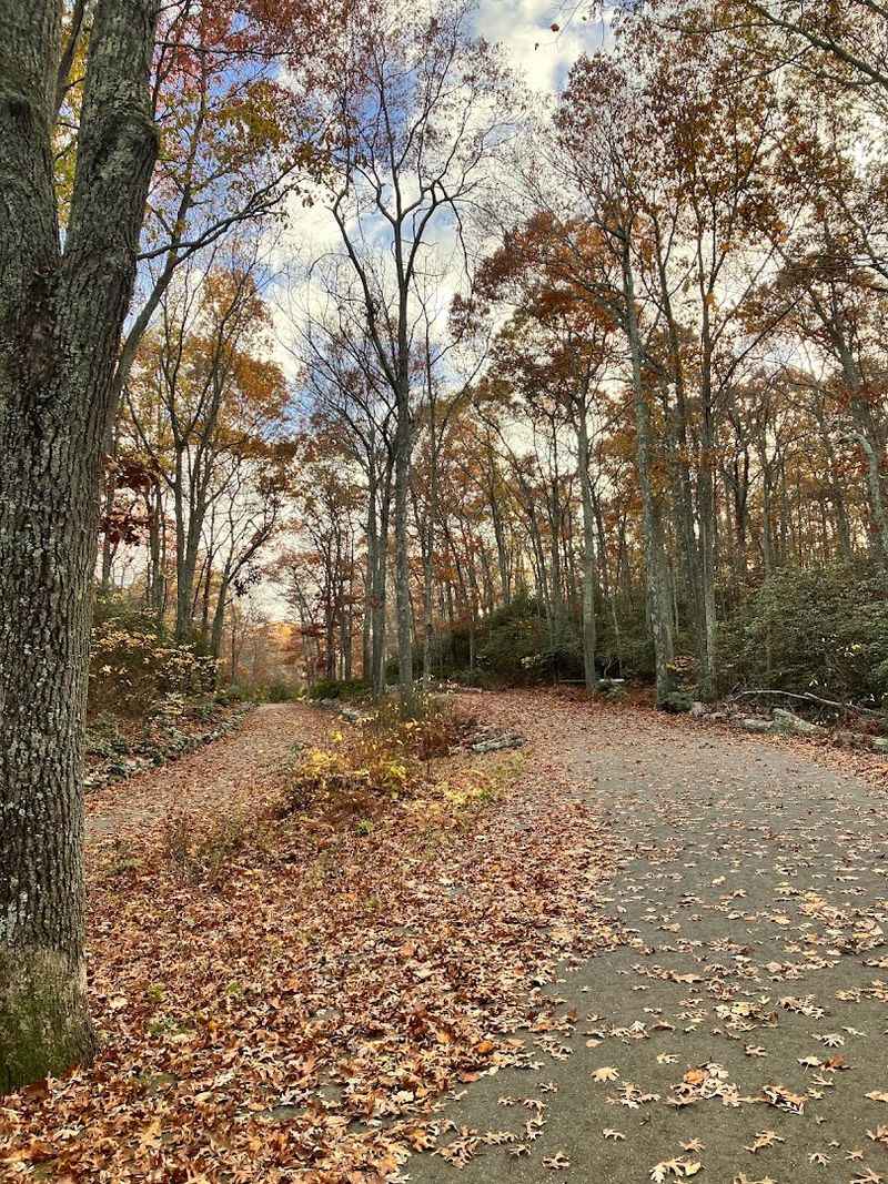 Five Miles Of Hiking Trails