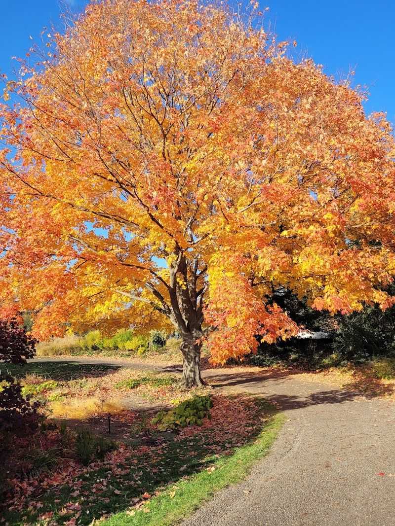 Seasonal Gardens That Change Every Visit
