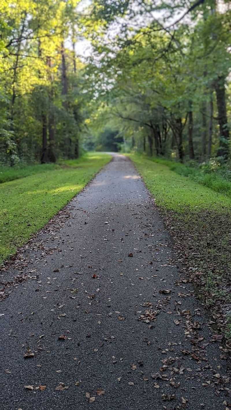 Trail Surface And Accessibility Features