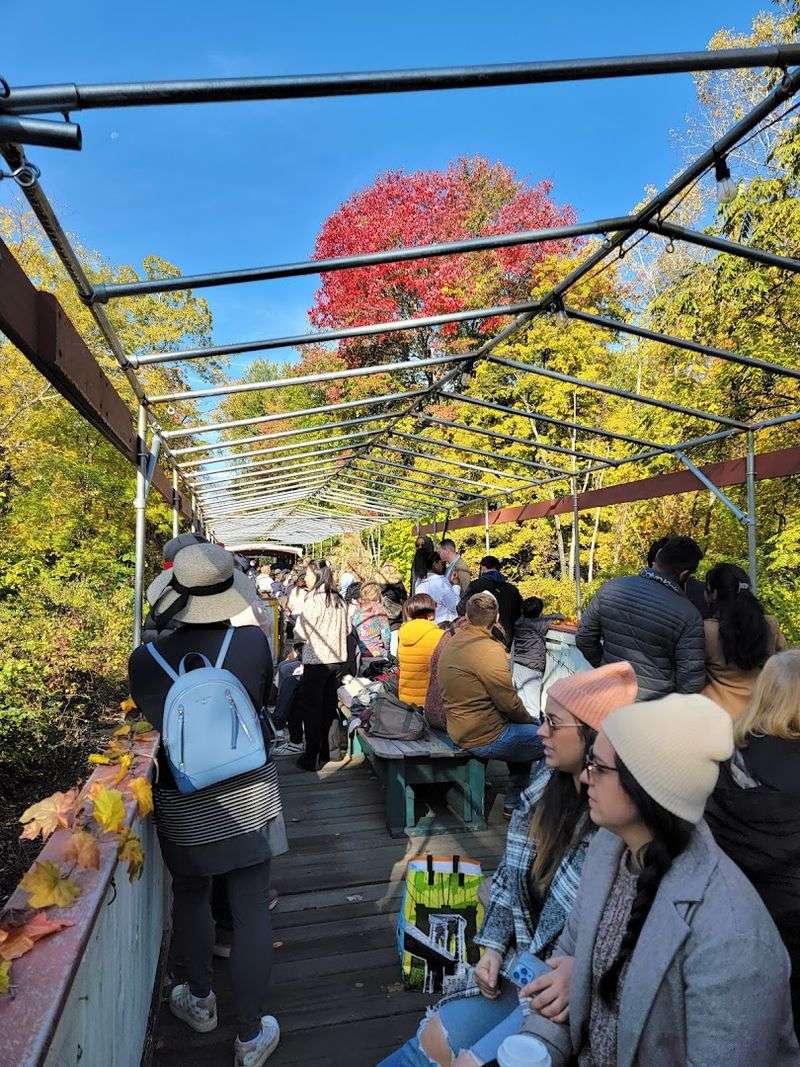 Seasonal Excursions That Make Every Trip Feel Brand New