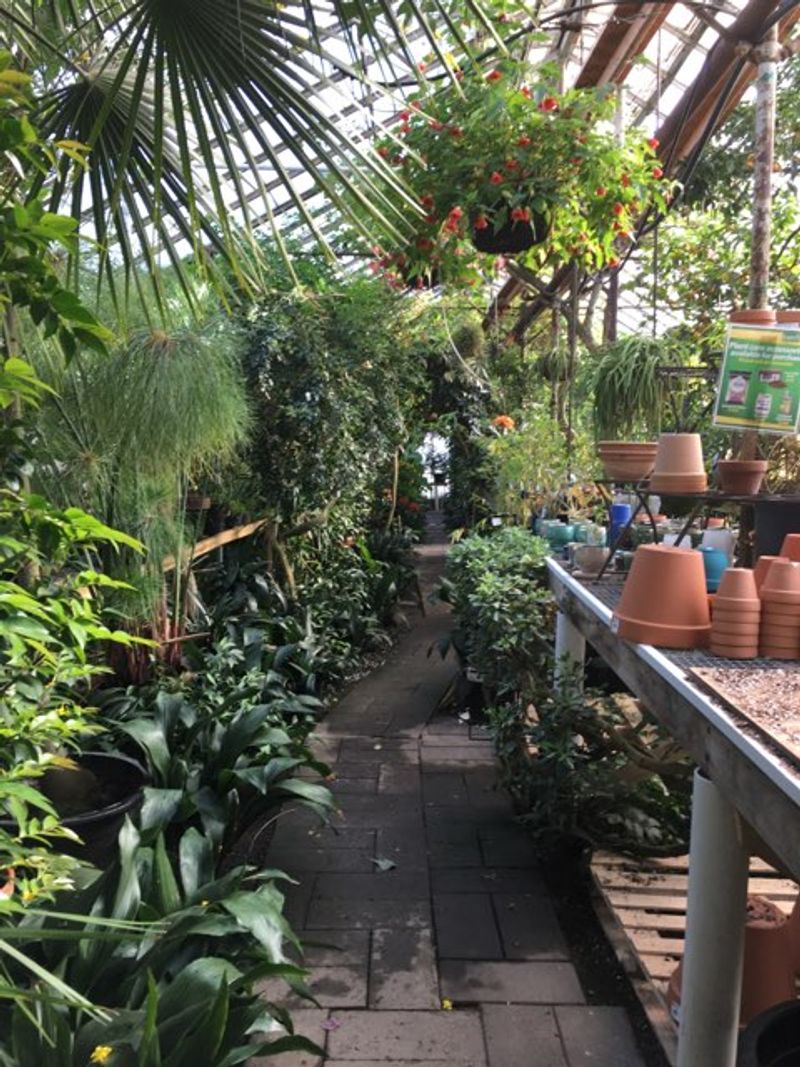 Winding Greenhouse Paths And Lush Corners