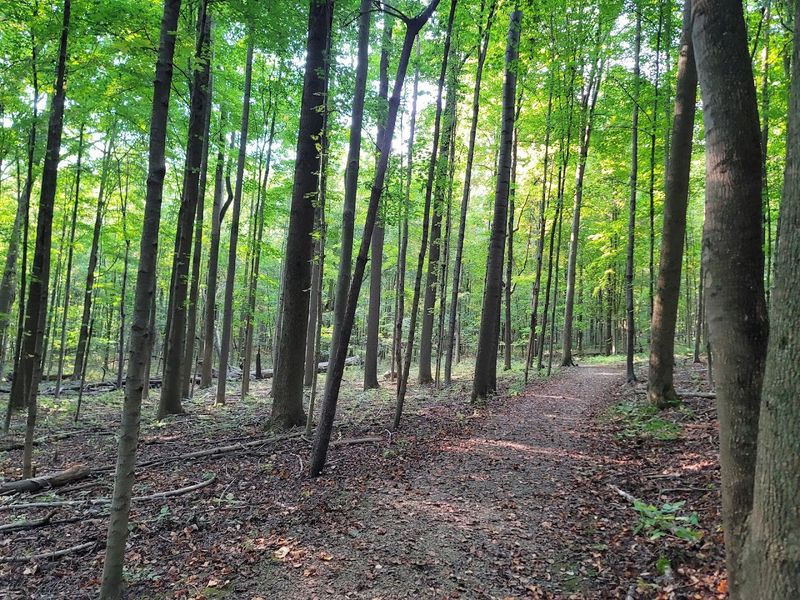 This Picture-Perfect Ohio Town Is Packed With Small-Town Charm - Decor Hint Green Spaces And Outdoor Escapes