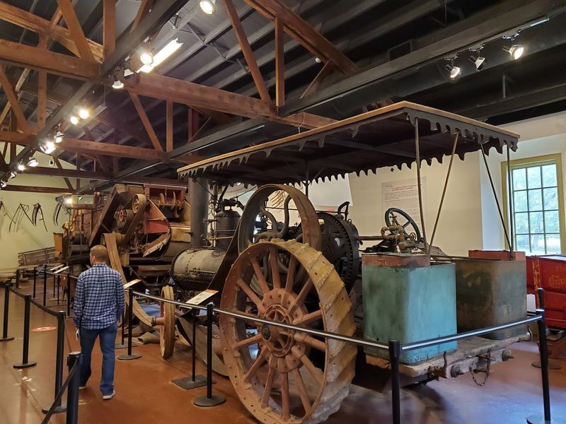 The Museum's Artifact Collection