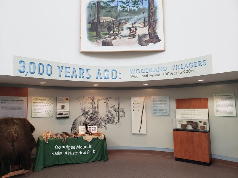 A World-Class Museum With Thousands Of Artifacts