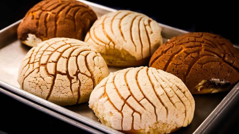 The Conchas That Started The Conversation