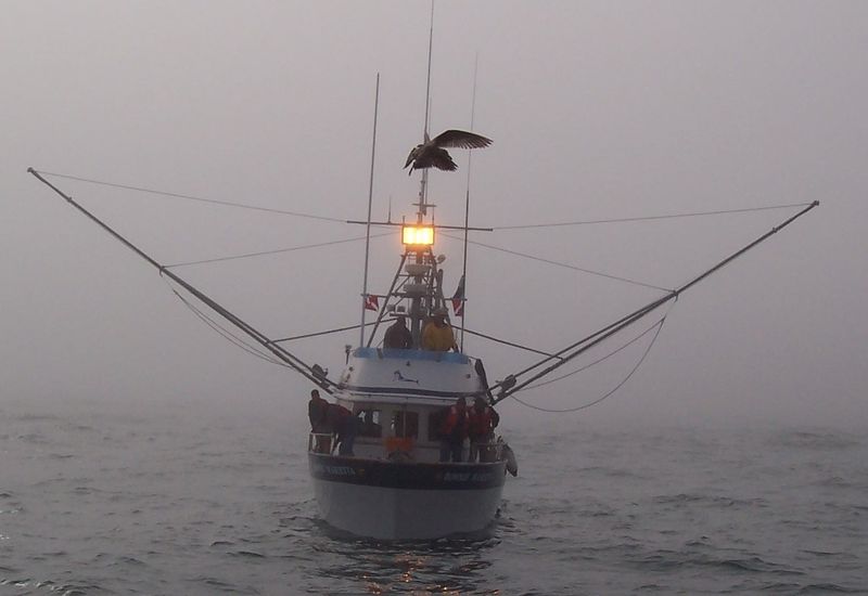 The Local Fleet Connection Is The Hook