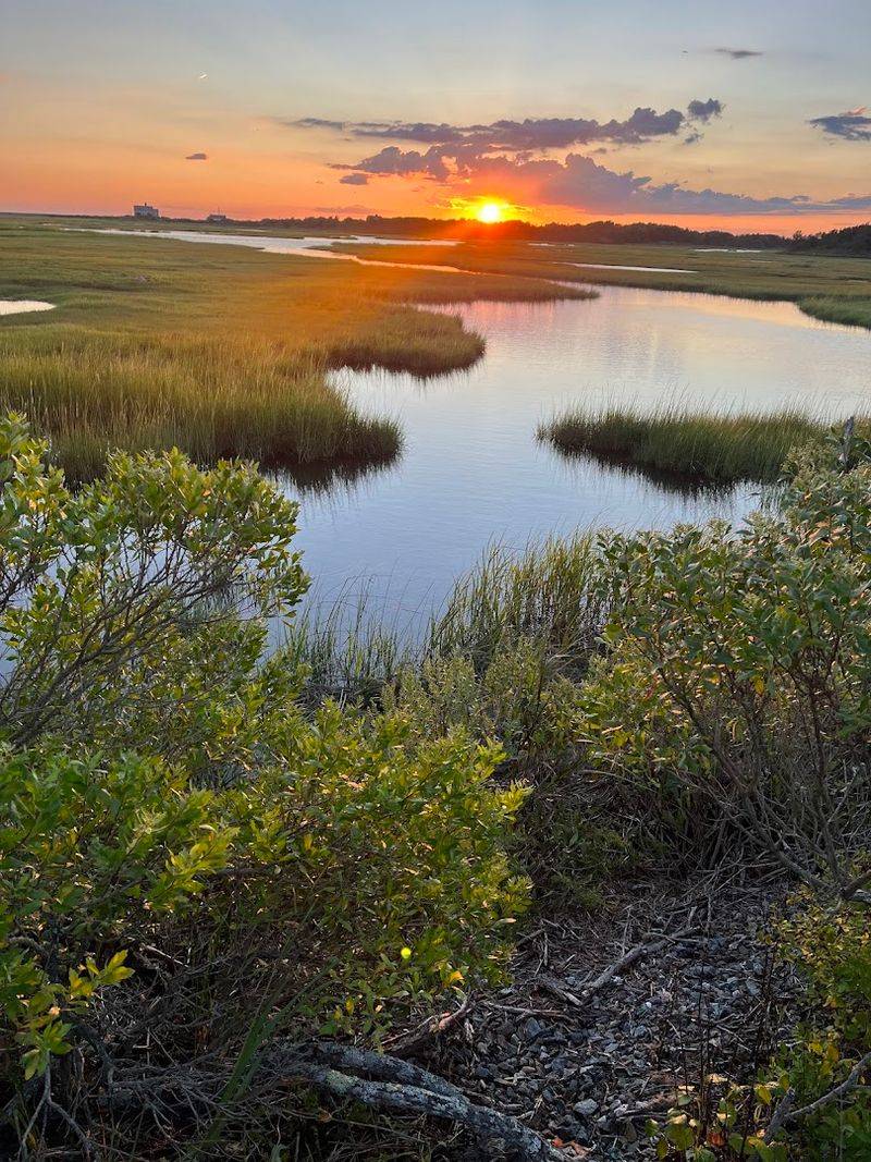 Salt Marshes And Cranberry Bogs Along The Way