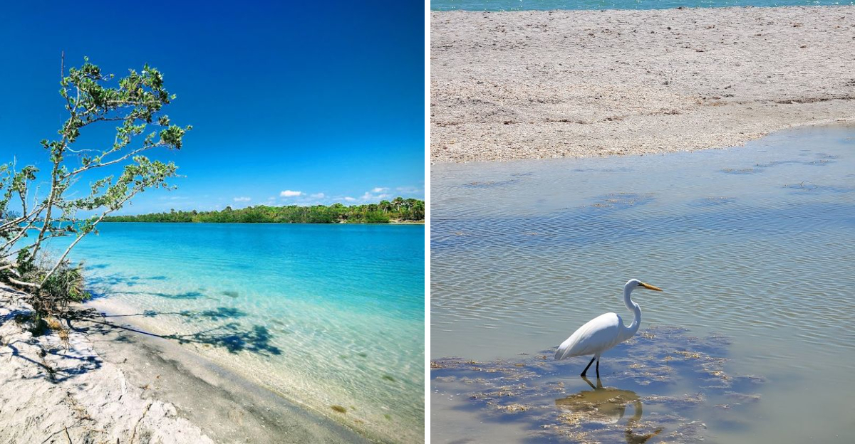 The Florida State Park That Delivers Postcard Views At Every Turn - Decor Hint