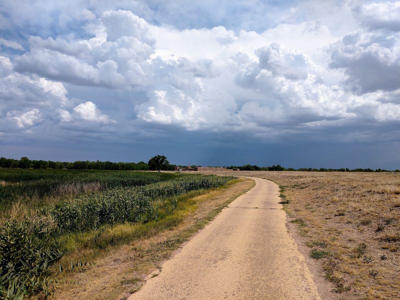 The Quarter-Mile Walk That Sets The Mood