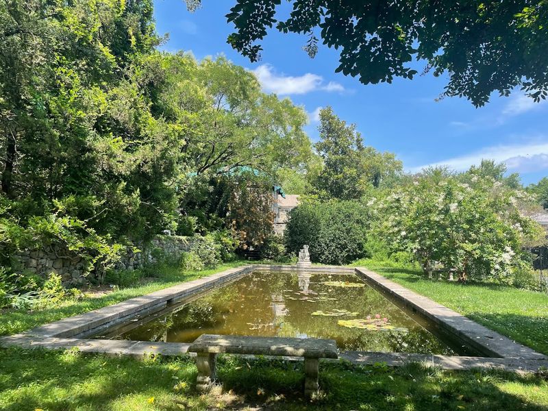 The Reflecting Pool