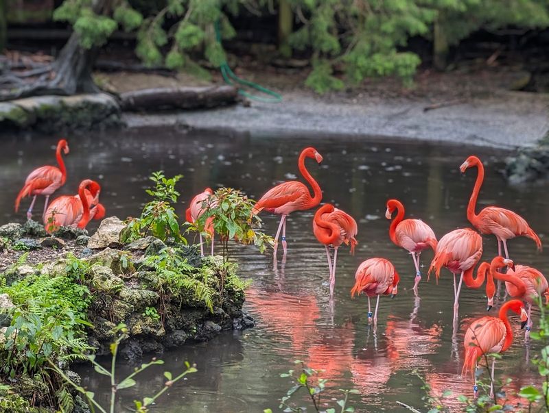 8 Florida Adventures That Start With A Full Tank And A Free Day - Decor Hint Ellie Schiller Homosassa Springs Wildlife State Park