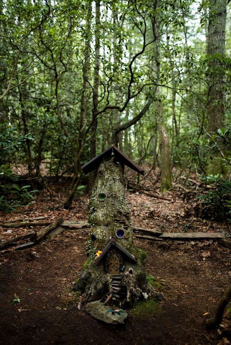 Reservations Are Not The Fairy Rule Here