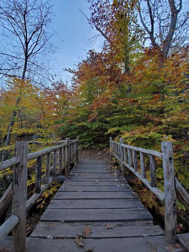 Picnic Spots Worth Claiming Early
