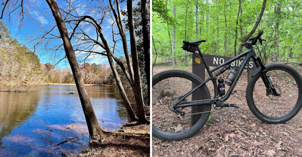 The Georgia Mountain Bike Trail That Feels Like Traveling Back In Time - Decor Hint