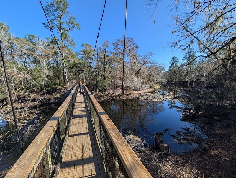 The CCC Suspension Bridge That Still Sways Over Dark Water