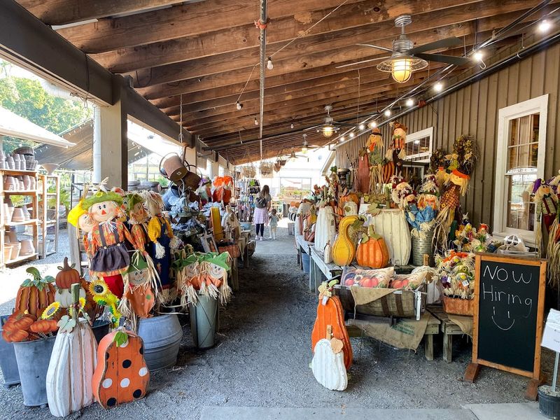Knowledgeable Staff Who Actually Make Shopping More Enjoyable