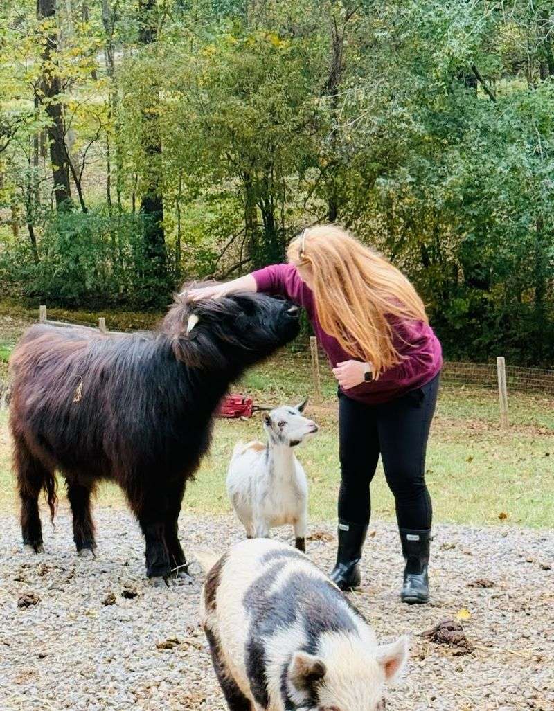 Farm Tours Keep Things Personal