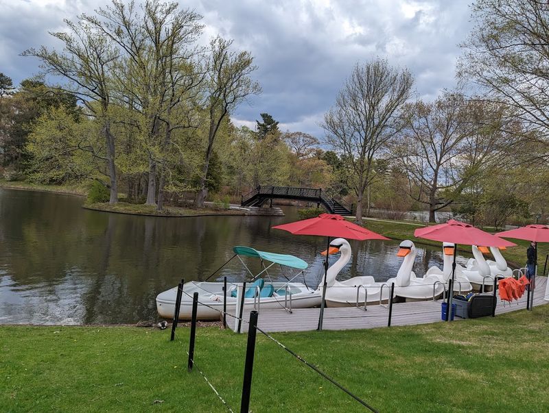 The Boathouse And Scenic Paddleboating