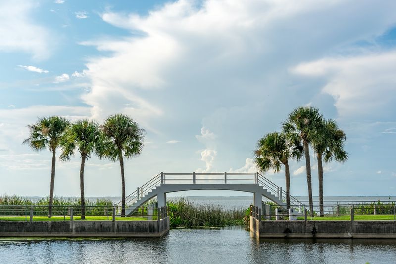 The Lake Apopka Loop Trail For Birdwatching
