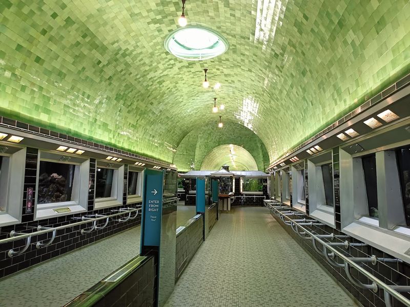 The Ongoing 10 Million Dollar Renovation Keeping History Alive
