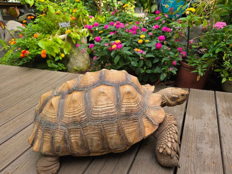 Garden Events Worth Planning Around
