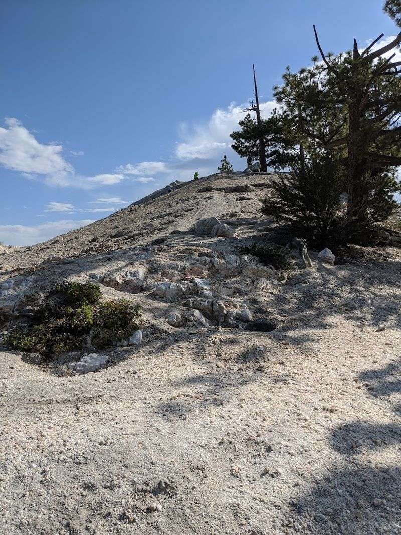 Public Land Means No Entry Fee And No Permission Slip