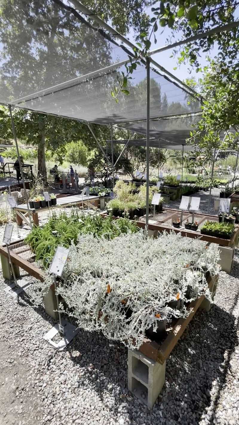 The Demonstration Gardens Do The Explaining