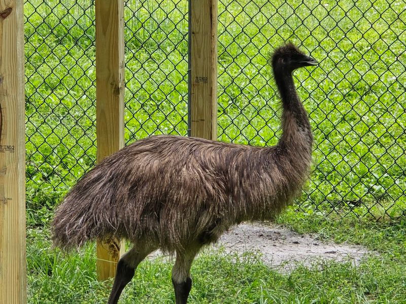The Tiny Florida Town Where Life Feels Slower, Softer, And Surprisingly Affordable - Decor Hint Hardee County Wildlife Refuge