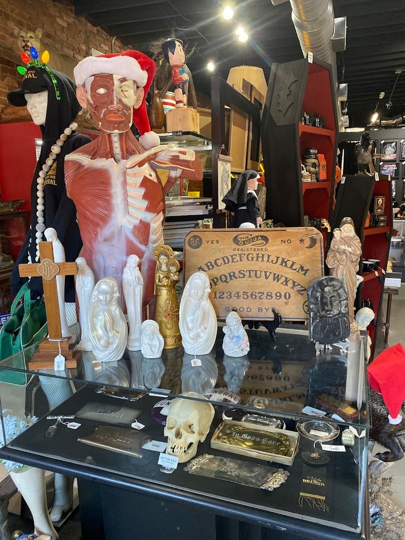 Staff So Knowledgeable They Could Host Their Own History Show