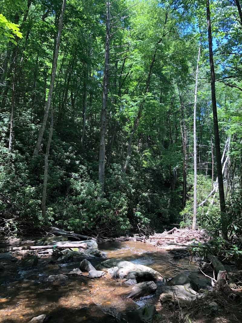 Proximity To Helen, Georgia Makes It A Perfect Day Trip