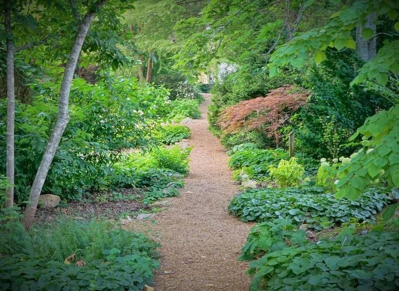 Trails That Reward The Curious Walker