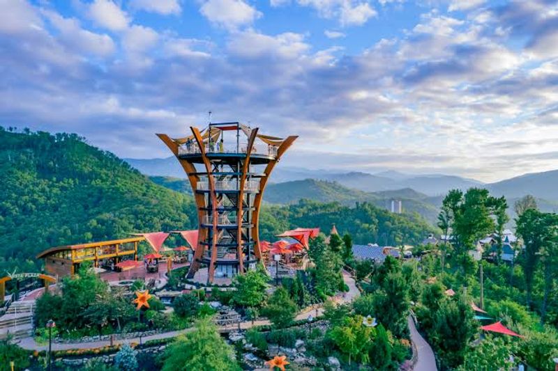 Anakeesta Mountaintop Village Redefines Outdoor Fun